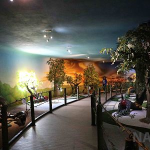 Dr Ariel's world, March 2016