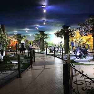 Dr Ariel's world, March 2016