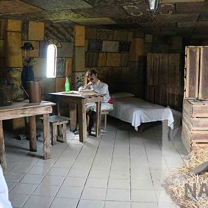 Prison display, March 2016