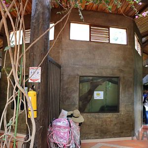 Inside the reptile house, March 2016