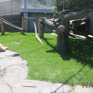 Baboon enclosure, March 2016