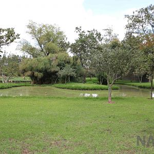 Flamingo enclosure, March 2016