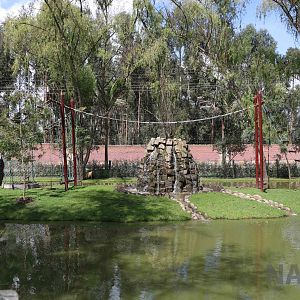Squirrel monkey & capybara island, March 2016