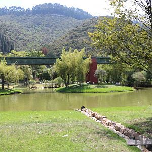 Monkey islands, March 2016