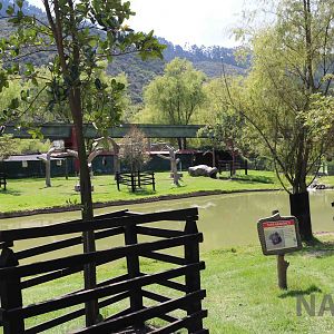 Tapir enclosure, March 2016