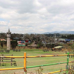 Bison enclosure, March 2016