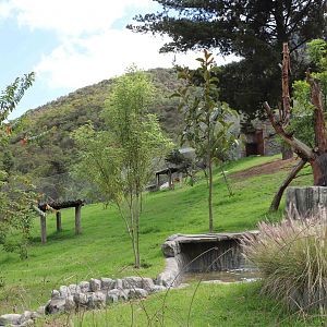 Puma enclosure, March 2016