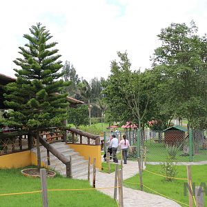Restaurant and poultry enclosures, March 2016
