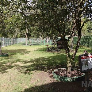 Brocket deer enclosure, March 2016