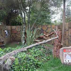 Grey fox enclosure, March 2016