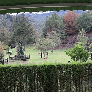 White-tailed deer enclosure, March 2016