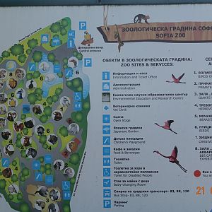 Sofia Zoo 21.8.16