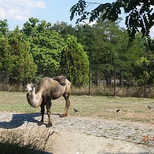 Sofia Zoo 21.8.16
