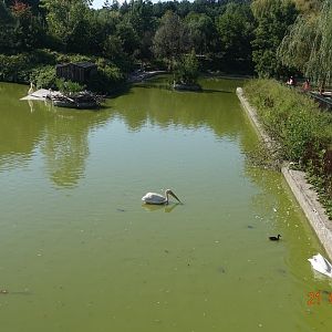 Sofia Zoo 21.8.16