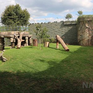 Tiger enclosure, March 2016