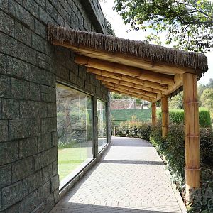 Tiger viewing area, March 2016