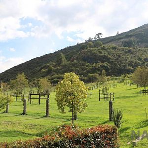 African/'safari' animal paddocks, March 2016