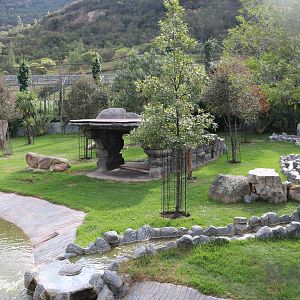 Lion enclosure, March 2016