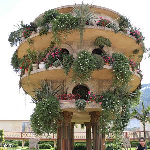 Hanging gardens of Babylon, March 2016