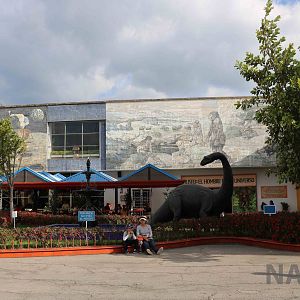 More dinosaurs and museums, March 2016