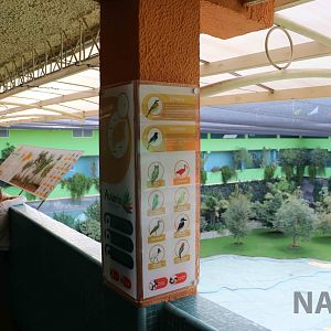 Viewing areas, March 2016