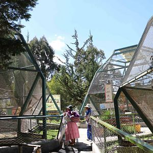 Primate cages, March 2016