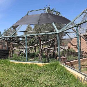 Carnivore enclosures, March 2016