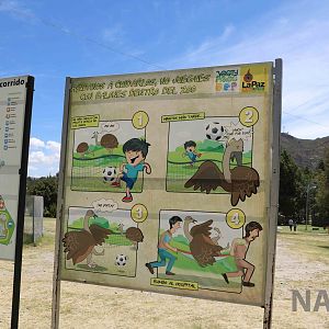 'why you shouldn't play football' sign, March 2016