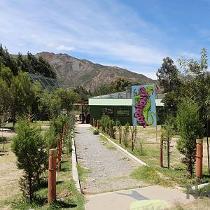View towards the reptile complex, March 2016