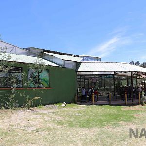 Reptile complex, March 2016