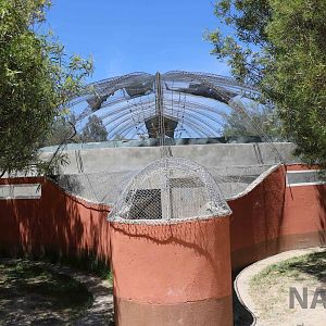 Oddly-shaped area at the back of the capuchin complex, March 2016