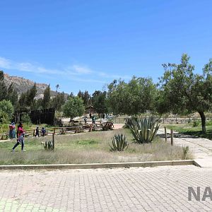 Looking across the grounds, March 2016