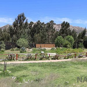 Culpeo fox enclosure, March 2016