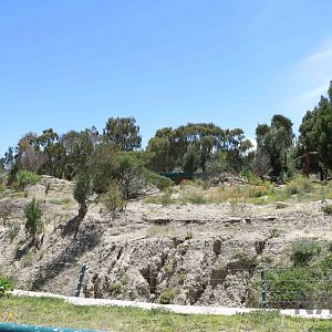 Puma enclosure, March 2016