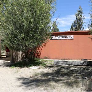 Tortoise house exterior, March 2016