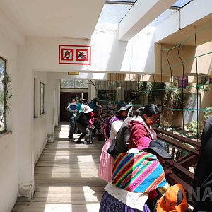 Inside the tortoise house, March 2016