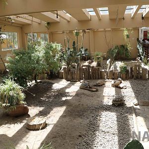 Tortoise enclosures, March 2016