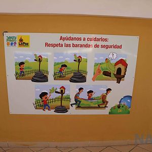 'Why you shouldn't touch the animals', March 2016