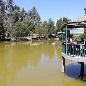 Zoo lake, March 2016