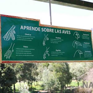 'Learn about birds', March 2016