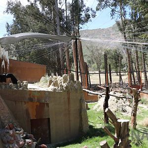 Condor aviary, March 2016