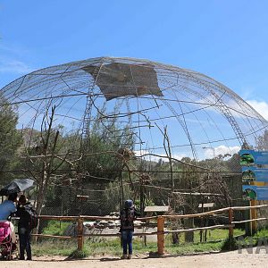 Parrot aviary, March 2016