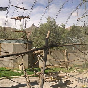Main capuchin enclosure, March 2016