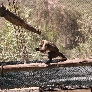 Trying to break something open, March 2016