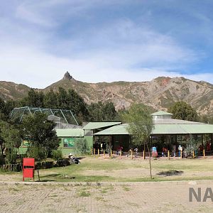 Reptile complex, March 2016