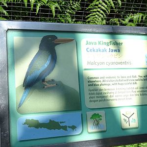 BBP 08/2016: Signage example