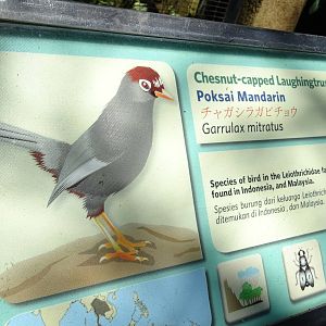 BBP 08/2016: Signage example