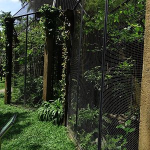 BBP 08/2016: Barbet and kingfisher enclosure