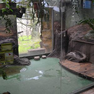 Enclosure for Giant anteaters at Olomouc Zoo