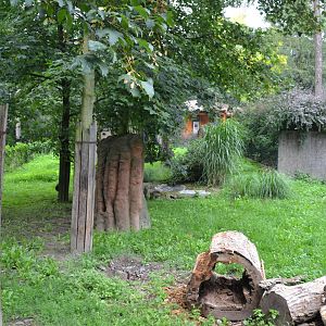Enclosure for Giant anteaters at Olomouc Zoo